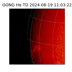 gong - 2024-08-19T11:03:22