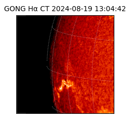 gong - 2024-08-19T13:04:42