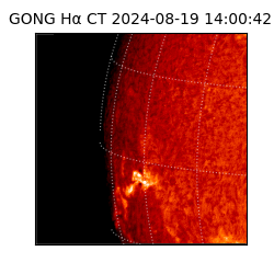 gong - 2024-08-19T14:00:42