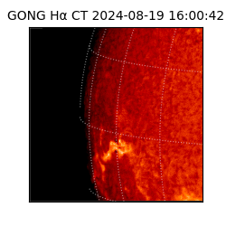 gong - 2024-08-19T16:00:42