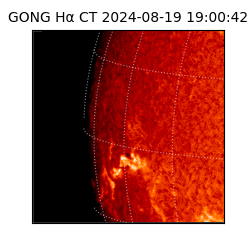 gong - 2024-08-19T19:00:42