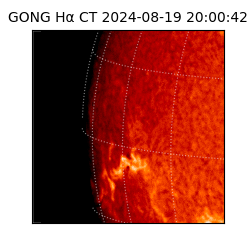 gong - 2024-08-19T20:00:42