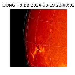 gong - 2024-08-19T23:00:02