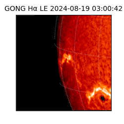 gong - 2024-08-19T03:00:42