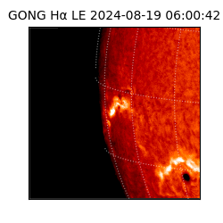 gong - 2024-08-19T06:00:42