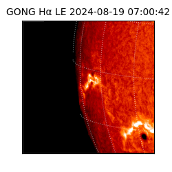 gong - 2024-08-19T07:00:42