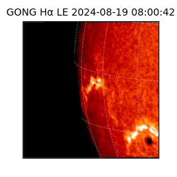 gong - 2024-08-19T08:00:42
