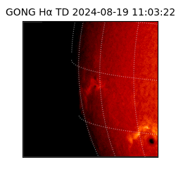 gong - 2024-08-19T11:03:22