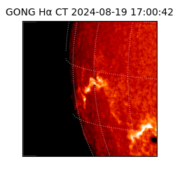 gong - 2024-08-19T17:00:42