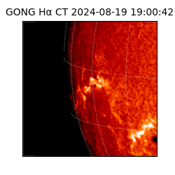 gong - 2024-08-19T19:00:42