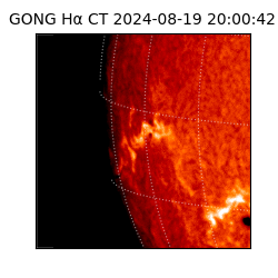 gong - 2024-08-19T20:00:42