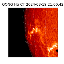 gong - 2024-08-19T21:00:42