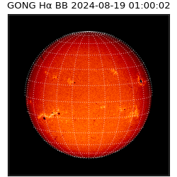 gong - 2024-08-19T01:00:02