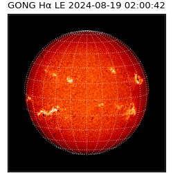 gong - 2024-08-19T02:00:42