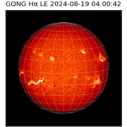 gong - 2024-08-19T04:00:42