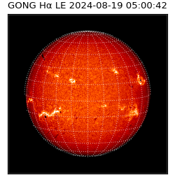 gong - 2024-08-19T05:00:42
