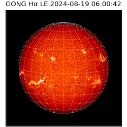 gong - 2024-08-19T06:00:42