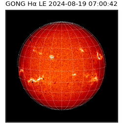 gong - 2024-08-19T07:00:42