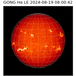 gong - 2024-08-19T08:00:42