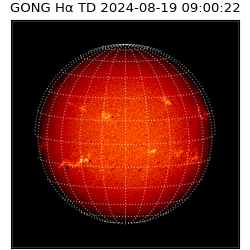 gong - 2024-08-19T09:00:22