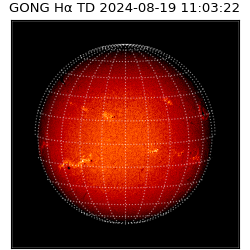 gong - 2024-08-19T11:03:22