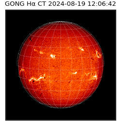 gong - 2024-08-19T12:06:42