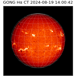 gong - 2024-08-19T14:00:42