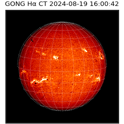 gong - 2024-08-19T16:00:42