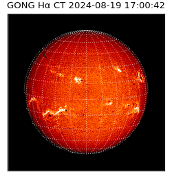 gong - 2024-08-19T17:00:42