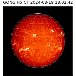 gong - 2024-08-19T18:02:42