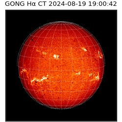 gong - 2024-08-19T19:00:42