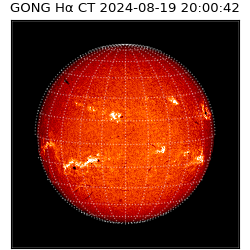 gong - 2024-08-19T20:00:42