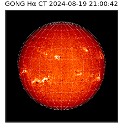 gong - 2024-08-19T21:00:42