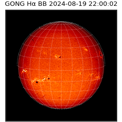 gong - 2024-08-19T22:00:02