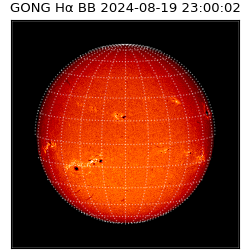 gong - 2024-08-19T23:00:02