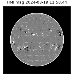 shmi - 2024-08-19T11:58:44