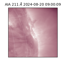 saia - 2024-08-20T09:00:09.626000