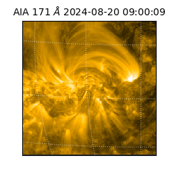saia - 2024-08-20T09:00:09.350000
