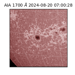 saia - 2024-08-20T07:00:28.718000