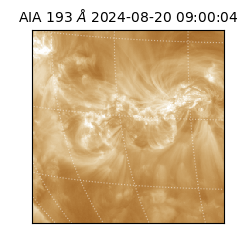 saia - 2024-08-20T09:00:04.847000