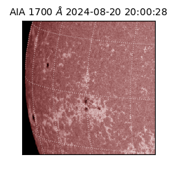 saia - 2024-08-20T20:00:28.717000