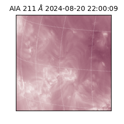 saia - 2024-08-20T22:00:09.630000