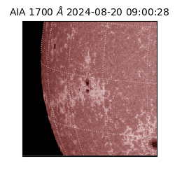 saia - 2024-08-20T09:00:28.717000