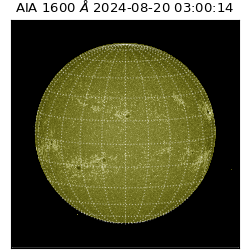 saia - 2024-08-20T03:00:14.125000
