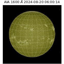 saia - 2024-08-20T06:00:14.126000