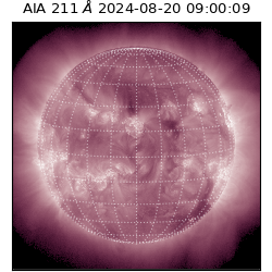 saia - 2024-08-20T09:00:09.626000
