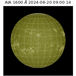 saia - 2024-08-20T09:00:14.126000