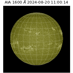 saia - 2024-08-20T11:00:14.126000