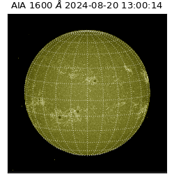 saia - 2024-08-20T13:00:14.126000