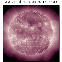 saia - 2024-08-20T15:00:09.626000